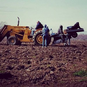 The Stones Speak Vineyard